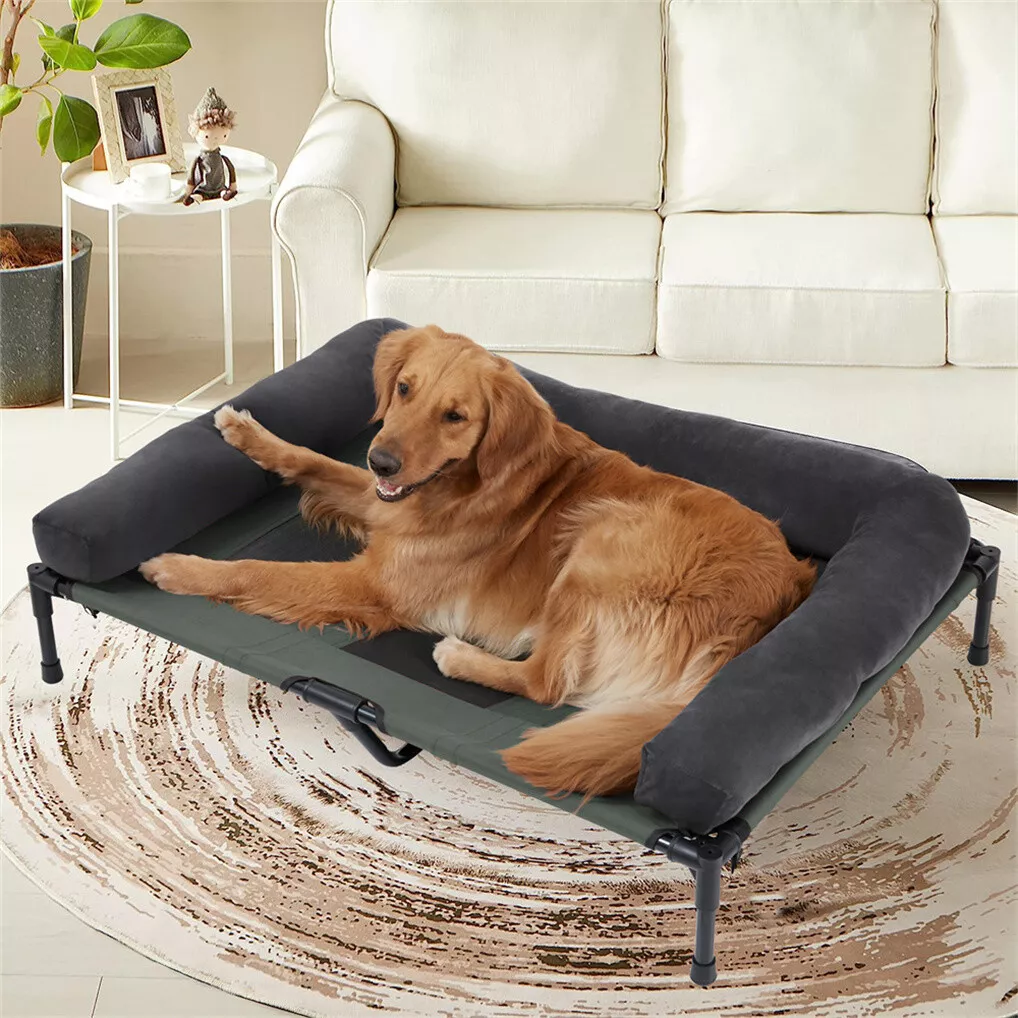 BINGOPAW Verhoogd hondenbed, g - Outdoor Camping Dog Bed recensie en prijs
