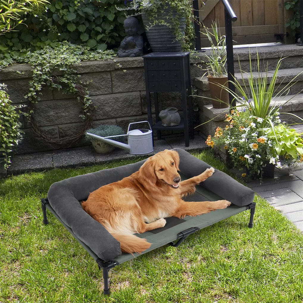 BINGOPAW Verhoogd hondenbed, g - Outdoor Camping Dog Bed recensie en prijs